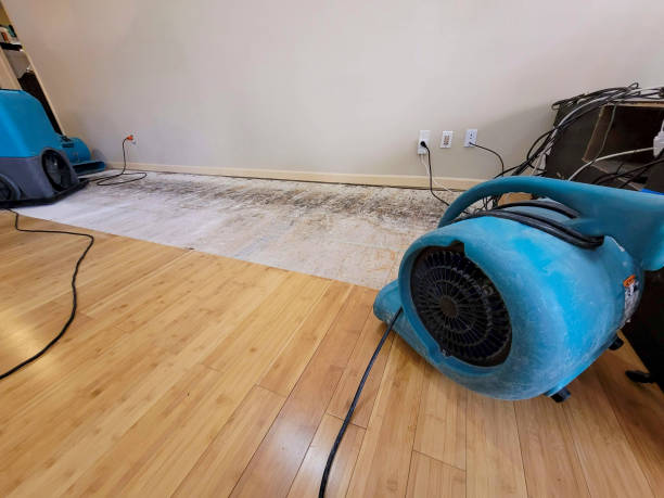 Professional Water Removal technician working in Brooksville, MS